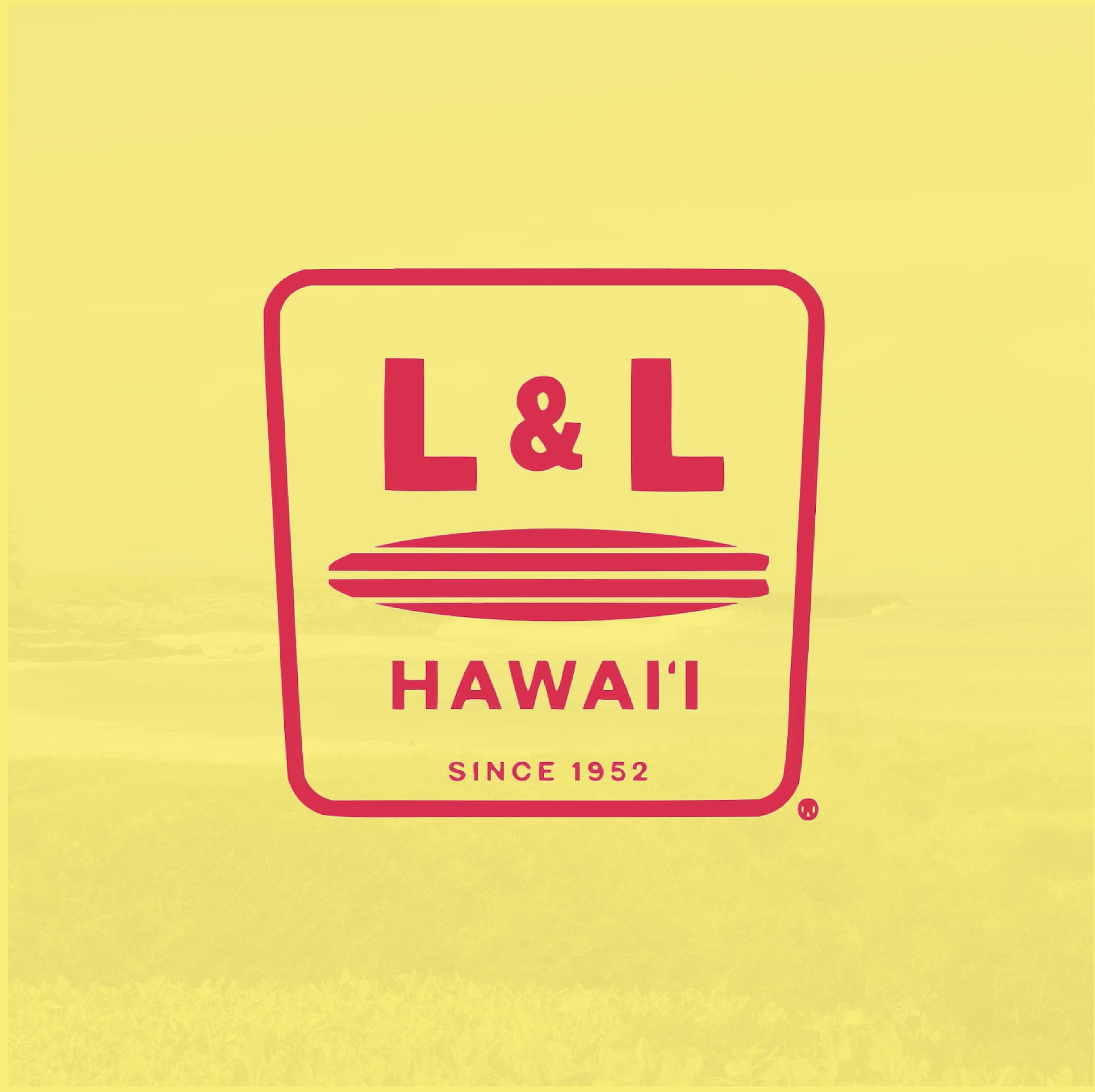 L&L animation branding